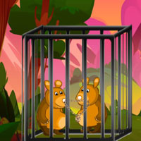 Free online html5 escape games - G2M Pair Critter Rescue