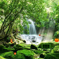 Free online html5 games - CIG The Forest Escape game 