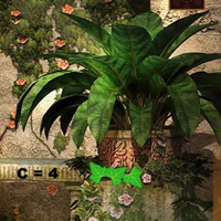 Free online html5 games - Magic Backyard game 