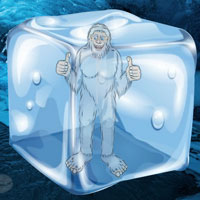 Free online html5 games - Escape Game Find the Himalayan Yeti Wowescape game 