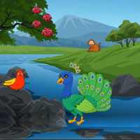 Free online html5 games - BIG Conserve The Peacock Companion game 