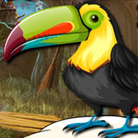 Free online html5 games - Avm Cute Toucan Bird Escape  game 