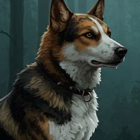 Free online html5 escape games - G4K Rocky Dog Rescue