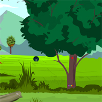 Free online html5 games - ZooZooGames Monkey Escape From Forest game 