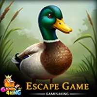 Free online html5 escape games - Pond Duck Rescue Game