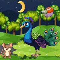 Free online html5 escape games - BIG Help Innocent Peacock Mother