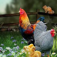 Free online html5 games - Save The Hen Family HTML5 game 
