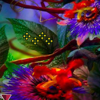 Free online html5 games - Dreaming Thanksgiving Forest Escape game - Games2rule 