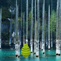 Free online html5 games - Kaindy Lake Tree Escape HTML5 game 