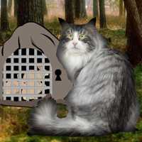 Free online html5 games - Wowescape Norwegian Cat Forest Escape game - Games2rule 