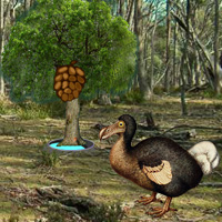 Free online html5 games - Wowescape Dodo Bird Evolution game 