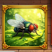 Free online html5 escape games - Discover Mighty Kid Veer