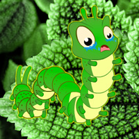 Free online html5 games - Wonder Worm Leaf Forest Escape game 