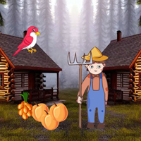 Free online html5 escape games - BIG Farmer Searching Lost Goats