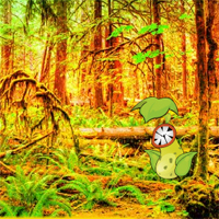 Free online html5 games - Wowescape Escape The Sugar Glider game 