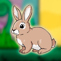 Free online html5 escape games -  Rescue the Hungry Bunny from Cage