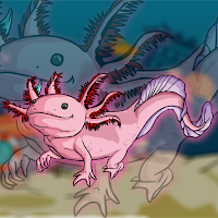 Free online html5 games - G2J Axolotl Rescue game - Games2rule 