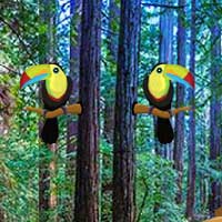 Free online html5 games - Zooo Toucan Escape game 