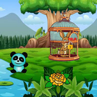 Free online html5 escape games - Release Caged Innocent Bunny
