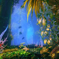 Free online html5 games - Wonder Thanksgiving Forest Escape game - Games2rule 