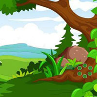 Free online html5 games - Glorious Peacock Escape HTML5 game - Games2rule 