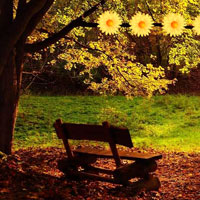 Free online html5 games - Escape from Fall Wowescape game 