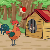 Free online html5 escape games - Rooster Release Trapped Hen