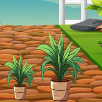 Free online html5 escape games - Flower Girl Rescue