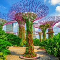Free online html5 games - Singapore Garden Escape HTML5 game - Games2rule 