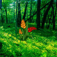 Free online html5 games - BEG Find the Golden Flower game - Games2rule 