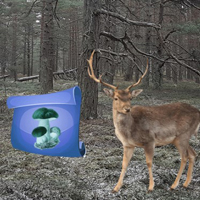 Free online html5 games - Ainars Return To The Frozen Forest game 