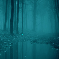 Free online html5 games - Forest ostrich escape game 