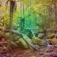 Free online html5 games - CIG The Thicket Escape game 