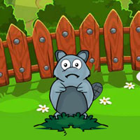 Free online html5 escape games - Feed the Gray Squirrel