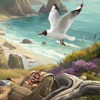 Free online html5 escape games - Aussie Adventure