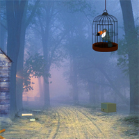 Free online html5 games - GamesClicker Toucan Rescue From Cage game 