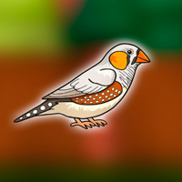 Free online html5 escape games - Cute Zebra Finch Escape from Cage