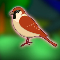 Free online html5 escape games - G2J Rescue the Sparrow from the Cage