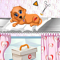 Free online html5 games - Dog Health Care game 