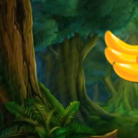 Free online html5 games - G2M Feathered Freedom game - Games2rule 