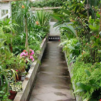 Free online html5 games - Ancient Greenhouse Escape game 