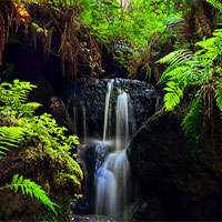 Free online html5 games - G4K Eco Forest Escape game - Games2rule 