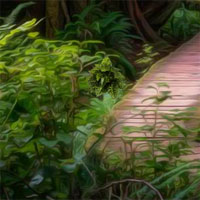Free online html5 games - Enchanted Jungle Fun Escape game - Games2rule 