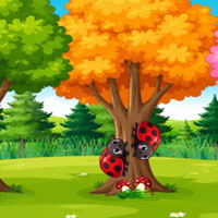 Free online html5 escape games - Cute Snail Rescue