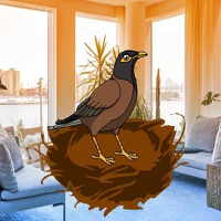 Free online html5 games - Find My Nest HTML5 game - Games2rule 