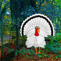 Free online html5 games - Big White Turkey Forest Escape game - Games2rule 