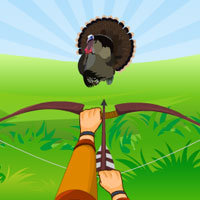 Free online html5 games - Turkey Hidden Target game 