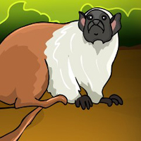 Free online html5 games - G2J Pied Tamarin Escape game 