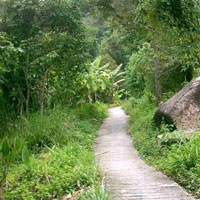 Free online html5 games - MouseCity Deep Jungle Escape game 