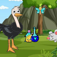 Free online html5 escape games - Finds The Ostrich Eggs